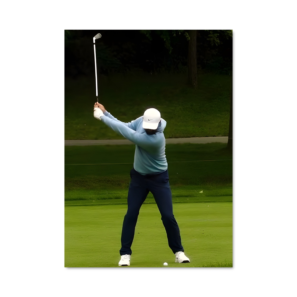Poster Swing & Win
